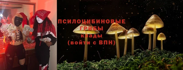 прущие грибы Алексин