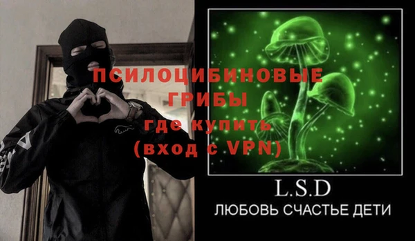 прущие грибы Алексин