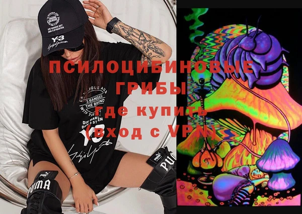 прущие грибы Алексин