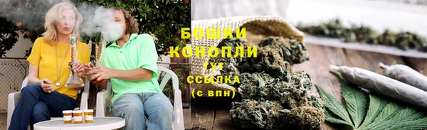 прущие грибы Алексин