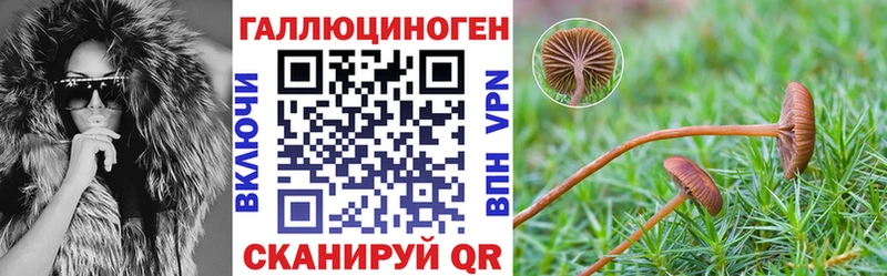hydra ONION  Самара  Псилоцибиновые грибы ЛСД  купить наркотик 